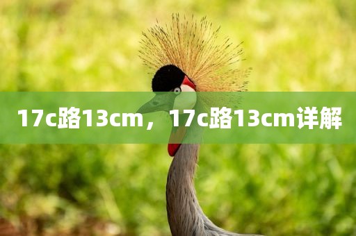 17c路13cm，17c路13cm详解