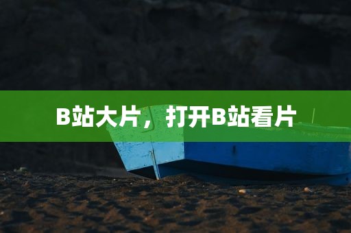 B站大片，打开B站看片
