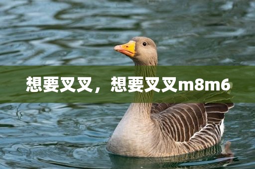想要叉叉，想要叉叉m8m6