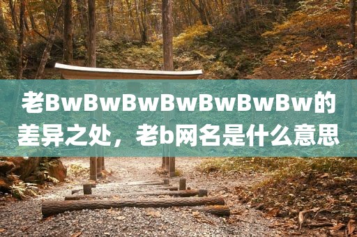 老BwBwBwBwBwBwBw的差异之处，老b网名是什么意思