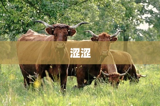 涩涩