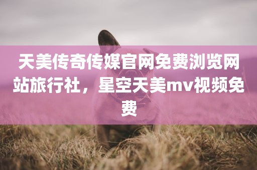 天美传奇传媒官网免费浏览网站旅行社，星空天美mv视频免费