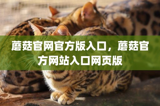 蘑菇官网官方版入口，蘑菇官方网站入口网页版