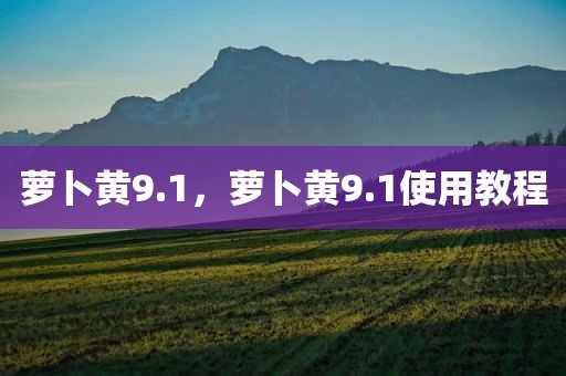 萝卜黄9.1，萝卜黄9.1使用教程