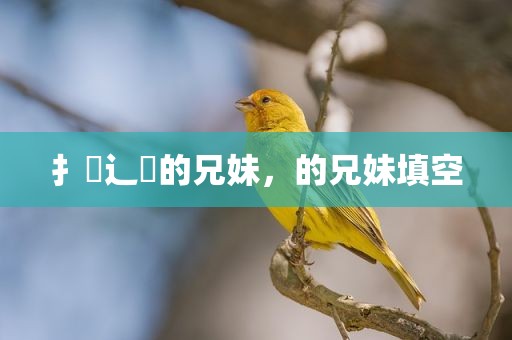 扌臿辶畐的兄妹，的兄妹填空