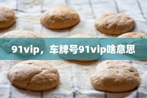 91vip，车牌号91vip啥意思