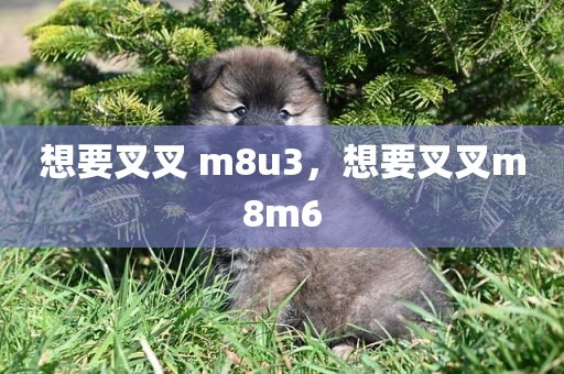 想要叉叉 m8u3，想要叉叉m8m6