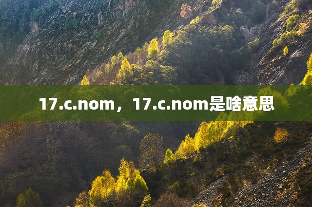17.c.nom，17.c.nom是啥意思