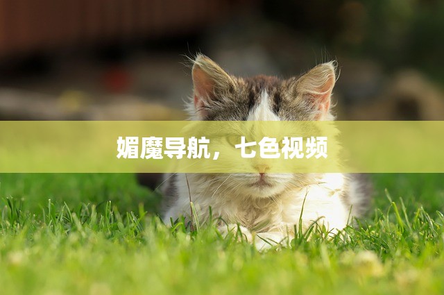 媚魔导航，七色视频