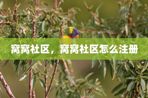 窝窝社区，窝窝社区怎么注册