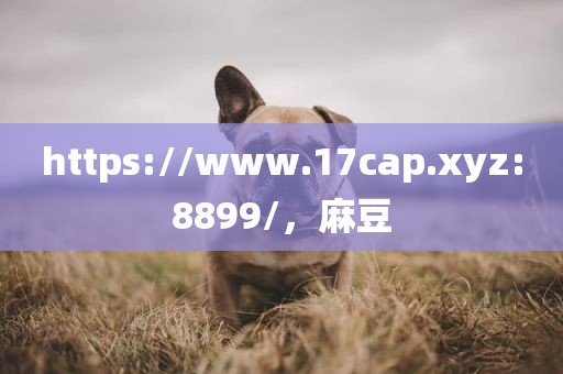 https://www.17cap.xyz:8899/，麻豆