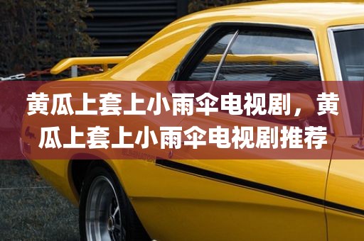 黄瓜上套上小雨伞电视剧，黄瓜上套上小雨伞电视剧推荐