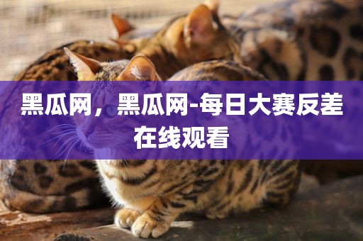 黑瓜网，黑瓜网-每日大赛反差在线观看