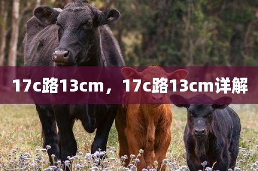 17c路13cm，17c路13cm详解