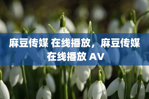 麻豆传媒 在线播放，麻豆传媒 在线播放 AV