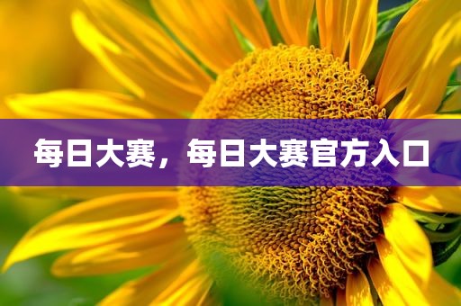 每日大赛，每日大赛官方入口