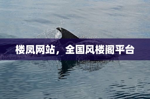 楼凤网站，全国风楼阁平台