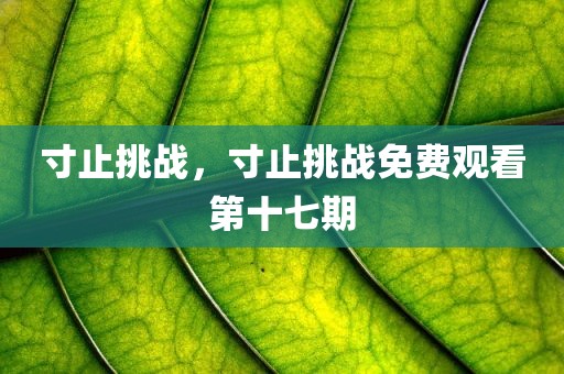 寸止挑战，寸止挑战免费观看第十七期