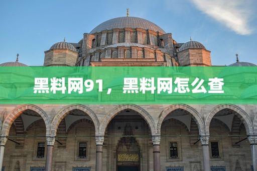 黑料网91，黑料网怎么查