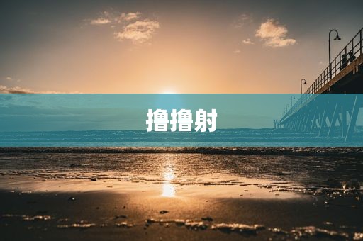 撸撸射