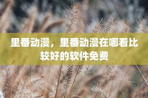 里番动漫，里番动漫在哪看比较好的软件免费