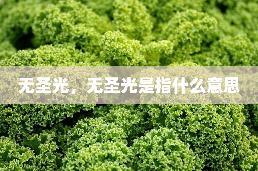 无圣光，无圣光是指什么意思