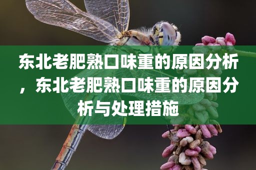 东北老肥熟口味重的原因分析，东北老肥熟口味重的原因分析与处理措施