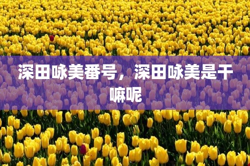 深田咏美番号，深田咏美是干嘛呢