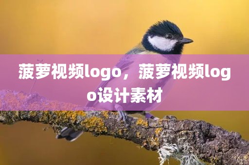 菠萝视频logo，菠萝视频logo设计素材