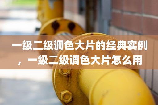 一级二级调色大片的经典实例，一级二级调色大片怎么用