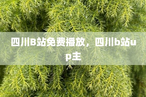 四川B站免费播放，四川b站up主