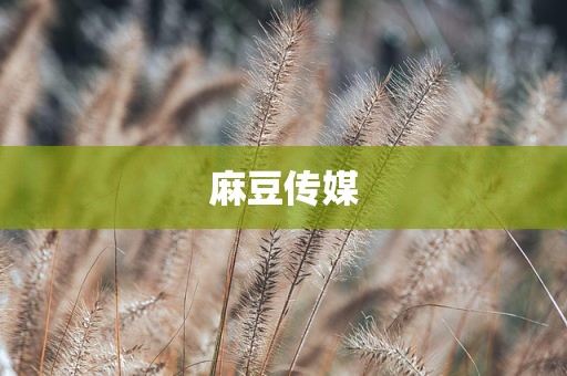 麻豆传媒