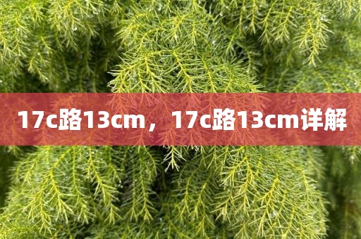 17c路13cm，17c路13cm详解