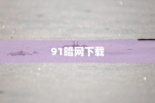 91暗网下载