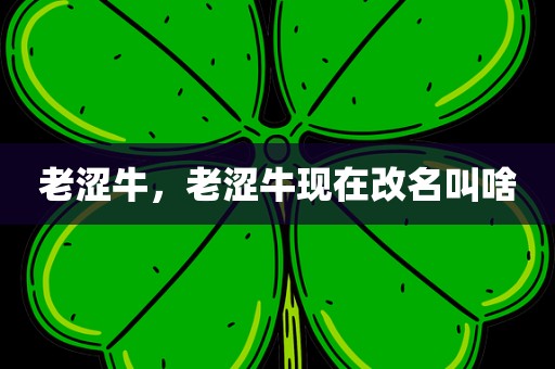 老涩牛，老涩牛现在改名叫啥
