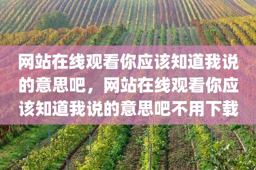 网站在线观看你应该知道我说的意思吧，网站在线观看你应该知道我说的意思吧不用下载