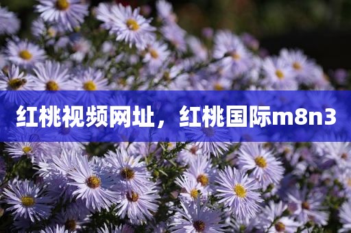 红桃视频网址，红桃国际m8n3