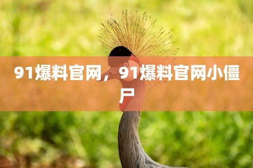 91爆料官网，91爆料官网小僵尸