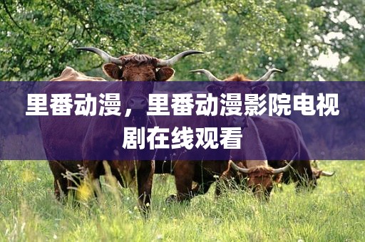 里番动漫，里番动漫影院电视剧在线观看
