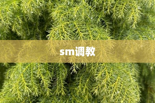 sm调教
