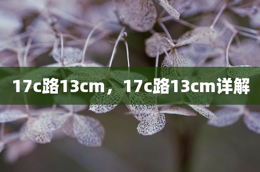 17c路13cm，17c路13cm详解