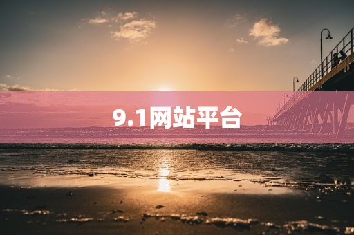 9.1网站平台