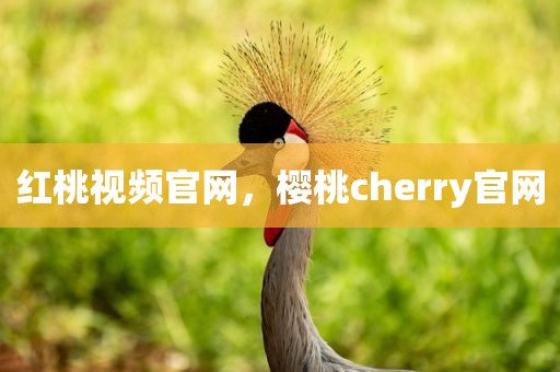 红桃视频官网，樱桃cherry官网