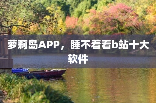 萝莉岛APP，睡不着看b站十大软件