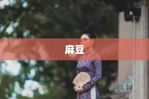 麻豆