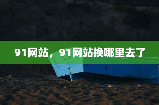 91网站，91网站换哪里去了