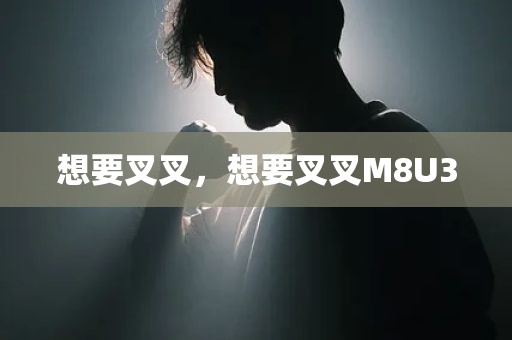 想要叉叉，想要叉叉M8U3