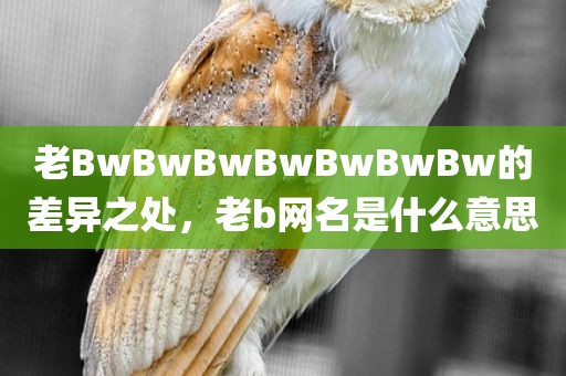 老BwBwBwBwBwBwBw的差异之处，老b网名是什么意思