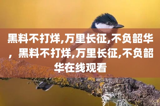 黑料不打烊,万里长征,不负韶华，黑料不打烊,万里长征,不负韶华在线观看