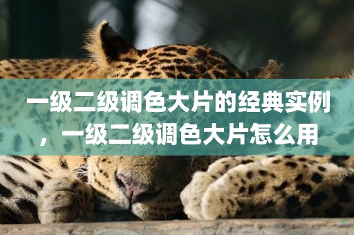 一级二级调色大片的经典实例，一级二级调色大片怎么用